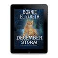 December Storm