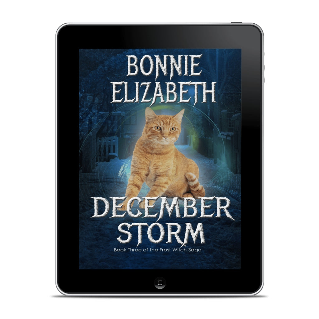 December Storm